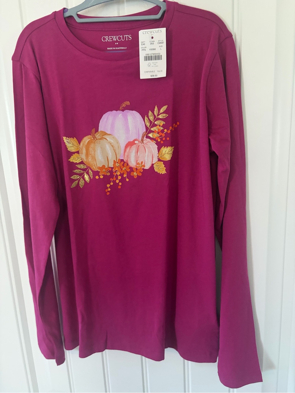Crewcuts Berry Long-Sleeve Tee with Pumpkin Graphic